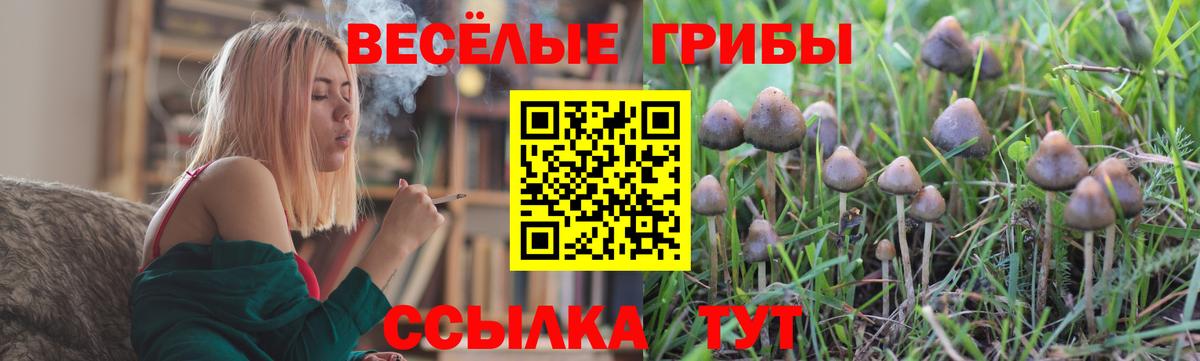 Галлюциногенные грибы Magic Shrooms Кашира